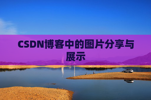 CSDN博客中的图片分享与展示